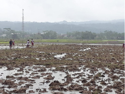 PENYIAPAN LAHAN SEBELUM TANAM