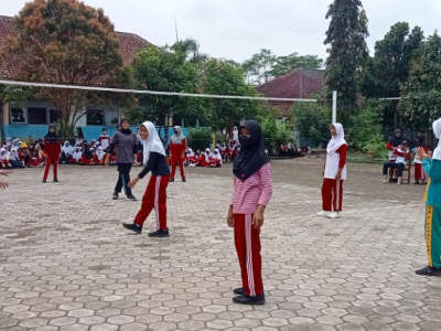 Volly 