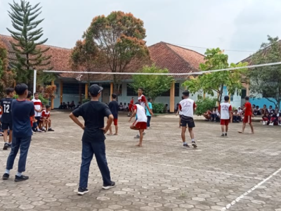 Volly 