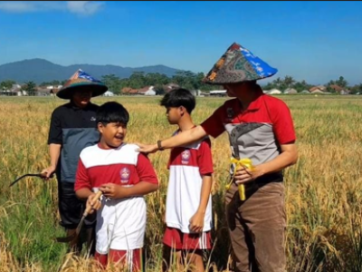 PANEN RAYA SAWAH EDUKASI SMP N 2 BANYUMAS