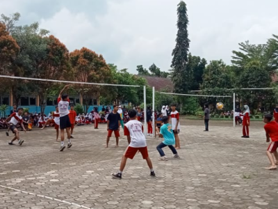 Volly 