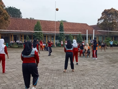 Volly 