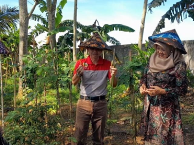 PANEN RAYA SAWAH EDUKASI SMP N 2 BANYUMAS