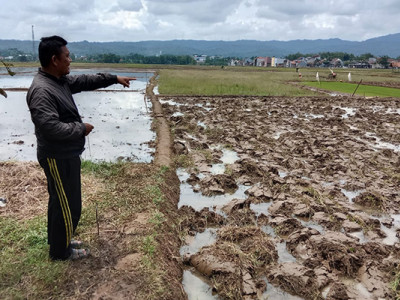 PENYIAPAN LAHAN SEBELUM TANAM